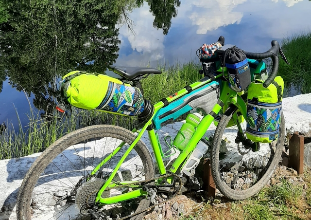 Bag on the background of the forest