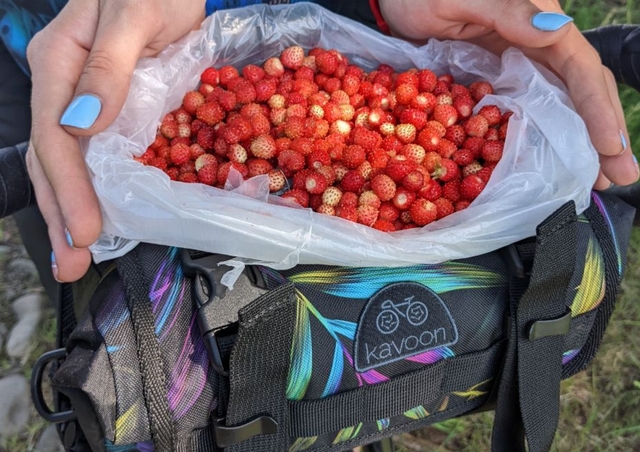 Handlebar bag and strawberries