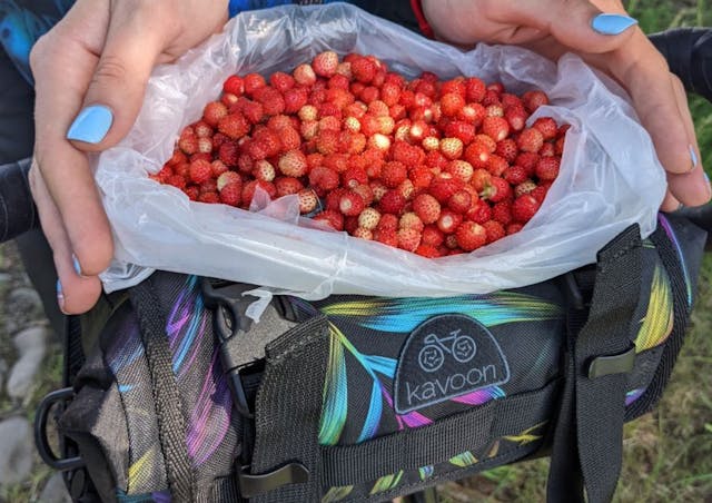 Handlebar bag and strawberries